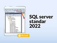 SQL Server Standar 2022 SQL Server Standar 2022